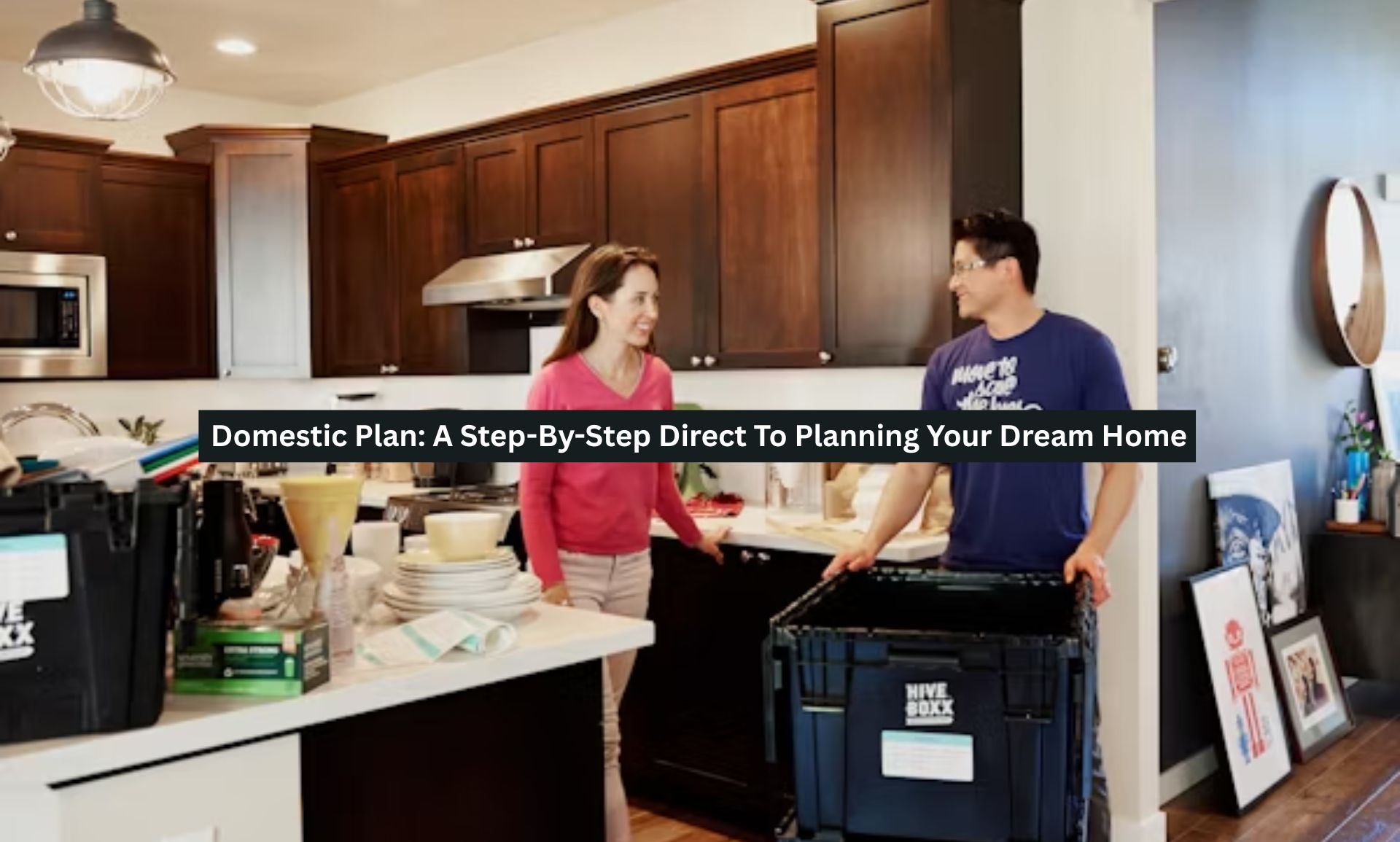 Domestic Plan